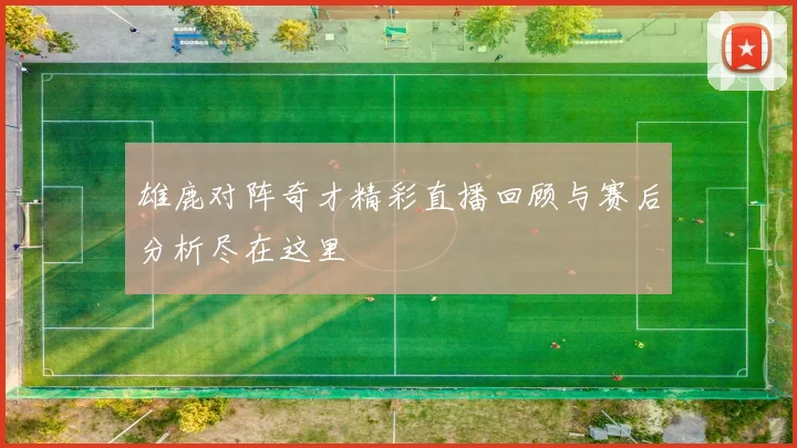 雄鹿对阵奇才精彩直播回顾与赛后分析尽在这里