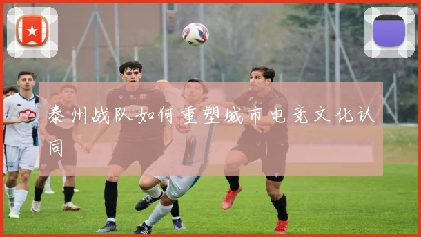 泰州战队如何重塑城市电竞文化认同